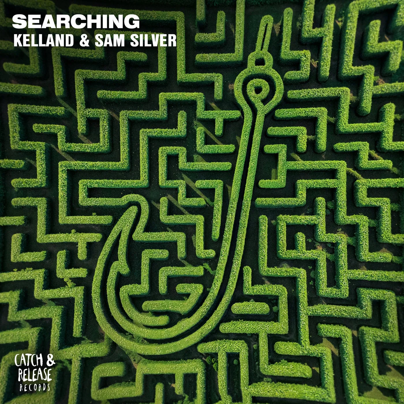 Searching