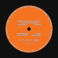 What Else Is There? (feat. Fever Ray)