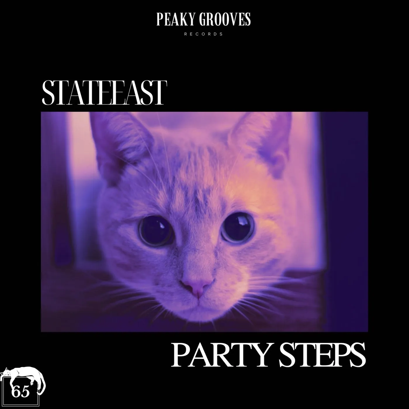 Party Steps