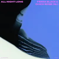 All Night Long