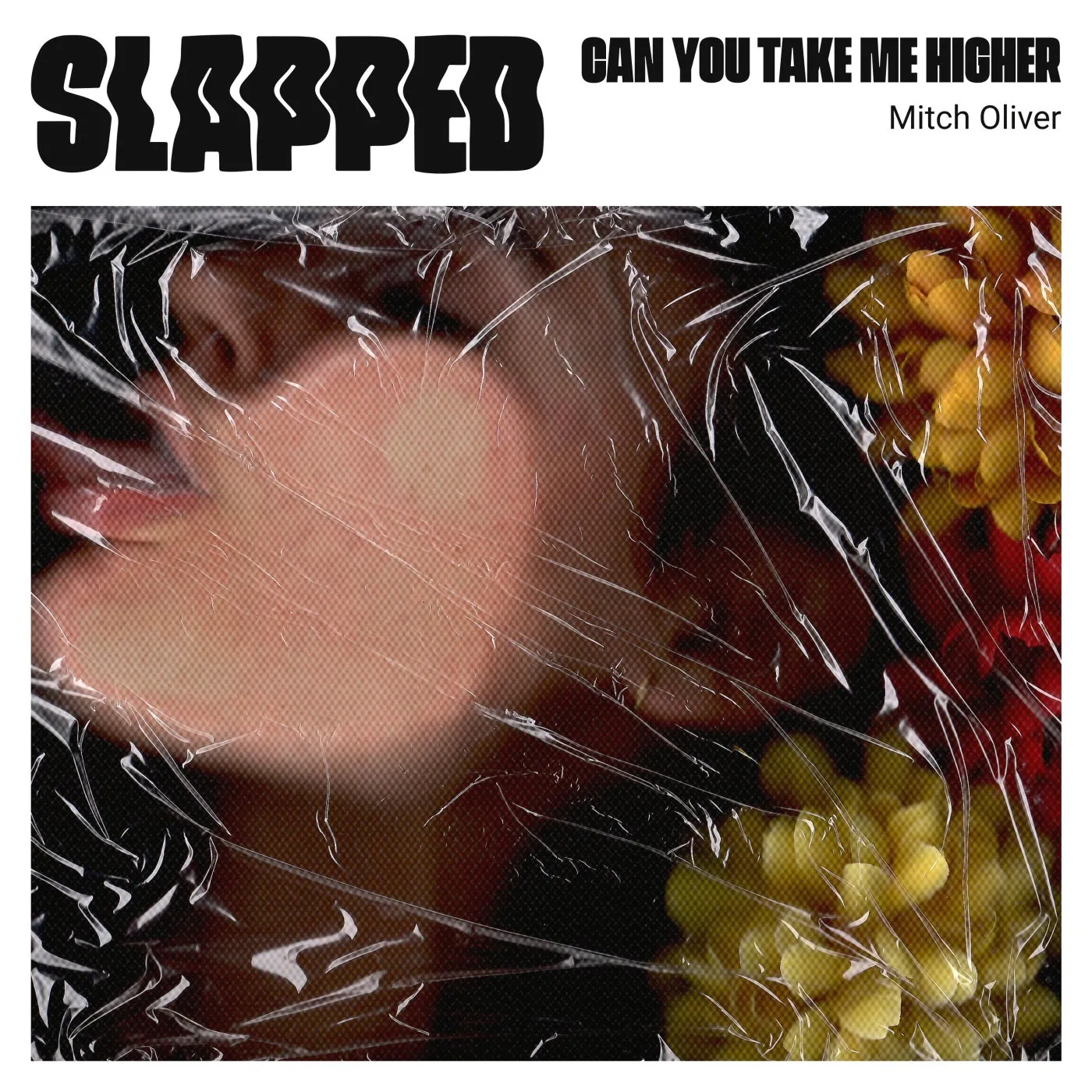 Can You Take Me Higher