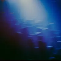 All Blue