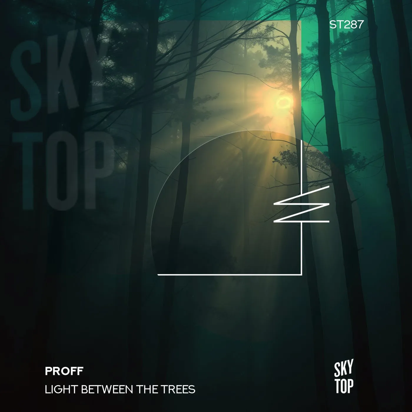 Light Between the Trees