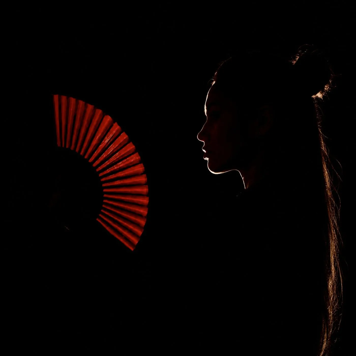 House of Geisha