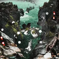 Hydra