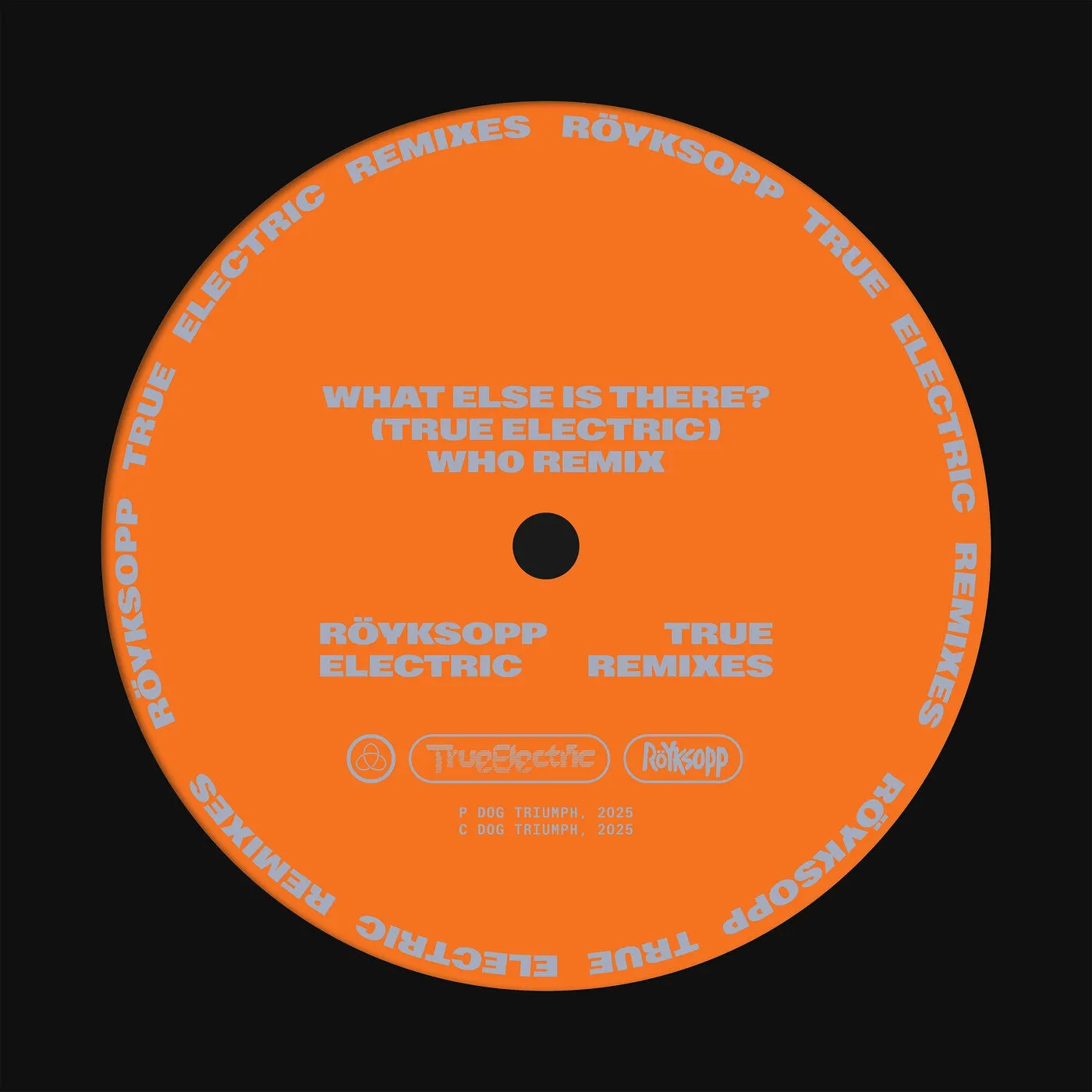 What Else Is There? (feat. Fever Ray)