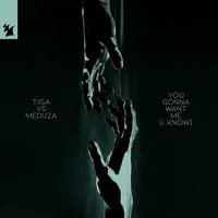 You Gonna Want Me (I Know)