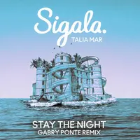 Stay The Night