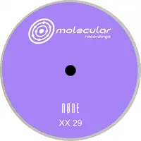 XX 29 A1