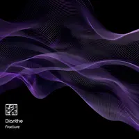 Fracture