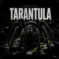 Tarantula