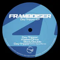 Day Tripper