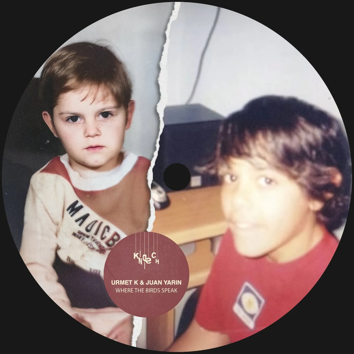 Where The Birds Speak