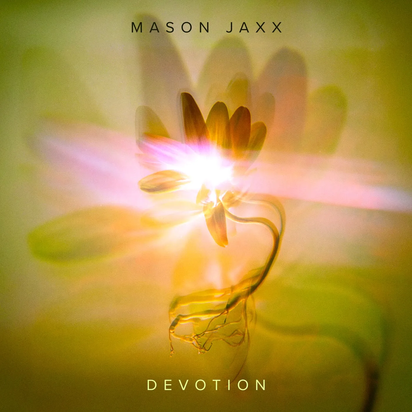 Devotion