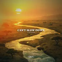 Can't Slow Down
