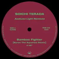 Bamboo Fighter