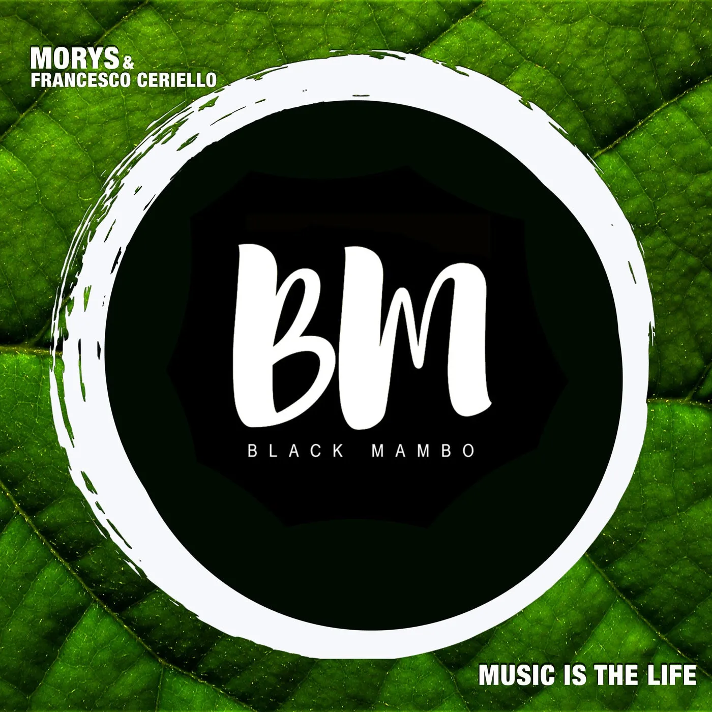 Music Is The Life