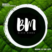 Music Is The Life
