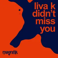 Didn't Miss You