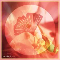 Pachamama (PAAX (Tulum) Remix)