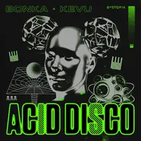 Acid Disco
