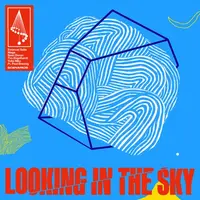 Looking In The Sky feat. Paul Brenning
