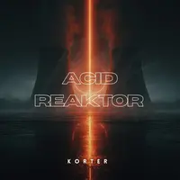 Acid Reaktor