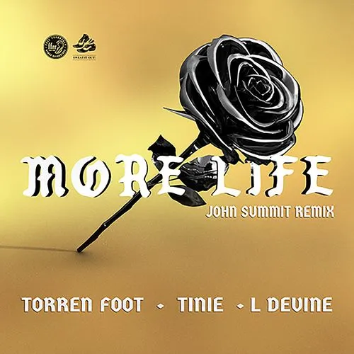 More Life (feat. Tinie Tempah & L Devine)