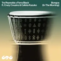 Bongos (In The Morning)