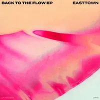 Back To The Flow