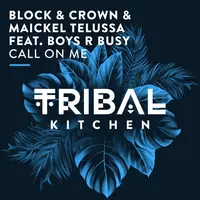 Call on Me feat. Boyz R Busy