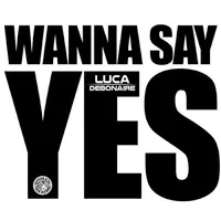 Wanna Say Yes