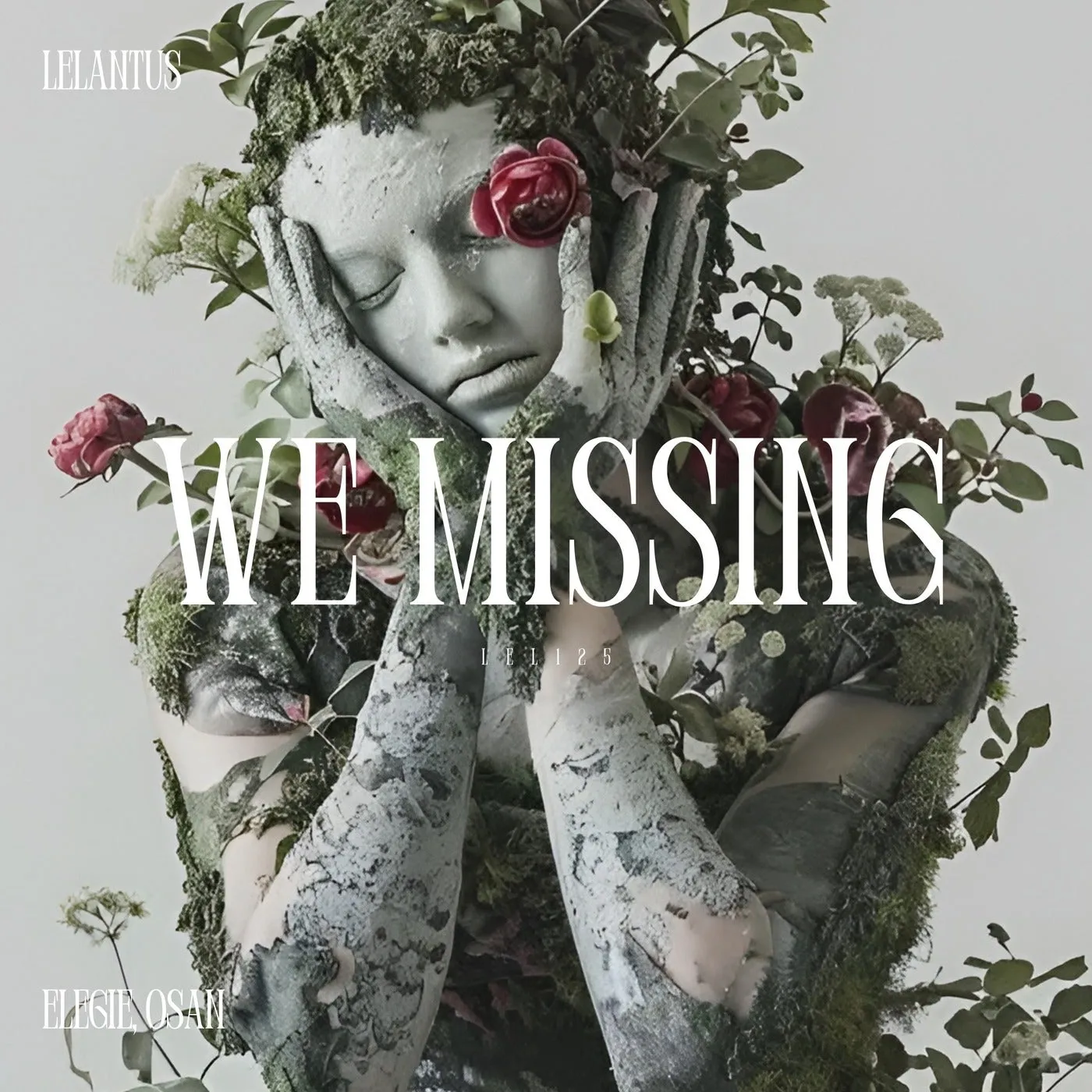 We Missing