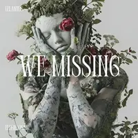 We Missing