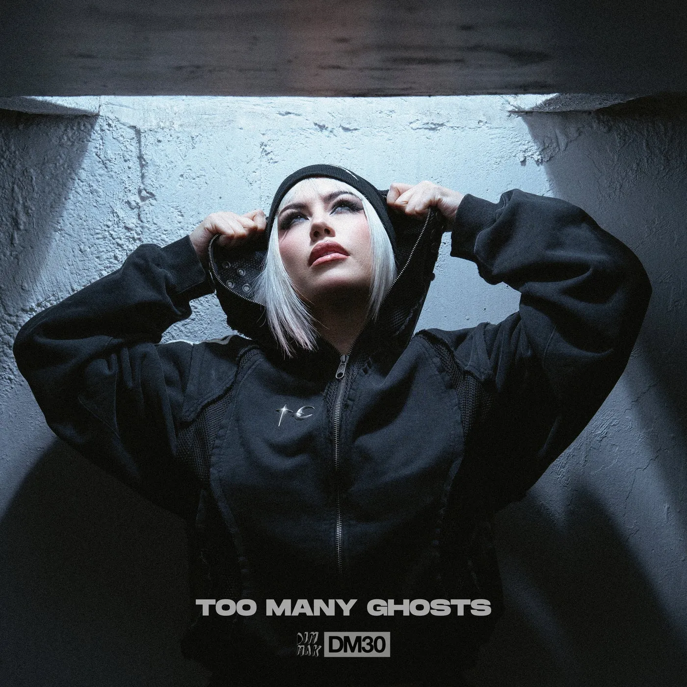Too Many Ghosts