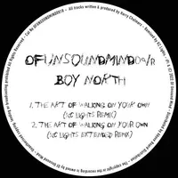 The Art Of Walking On Your Own