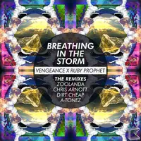 Breathing in the Storm