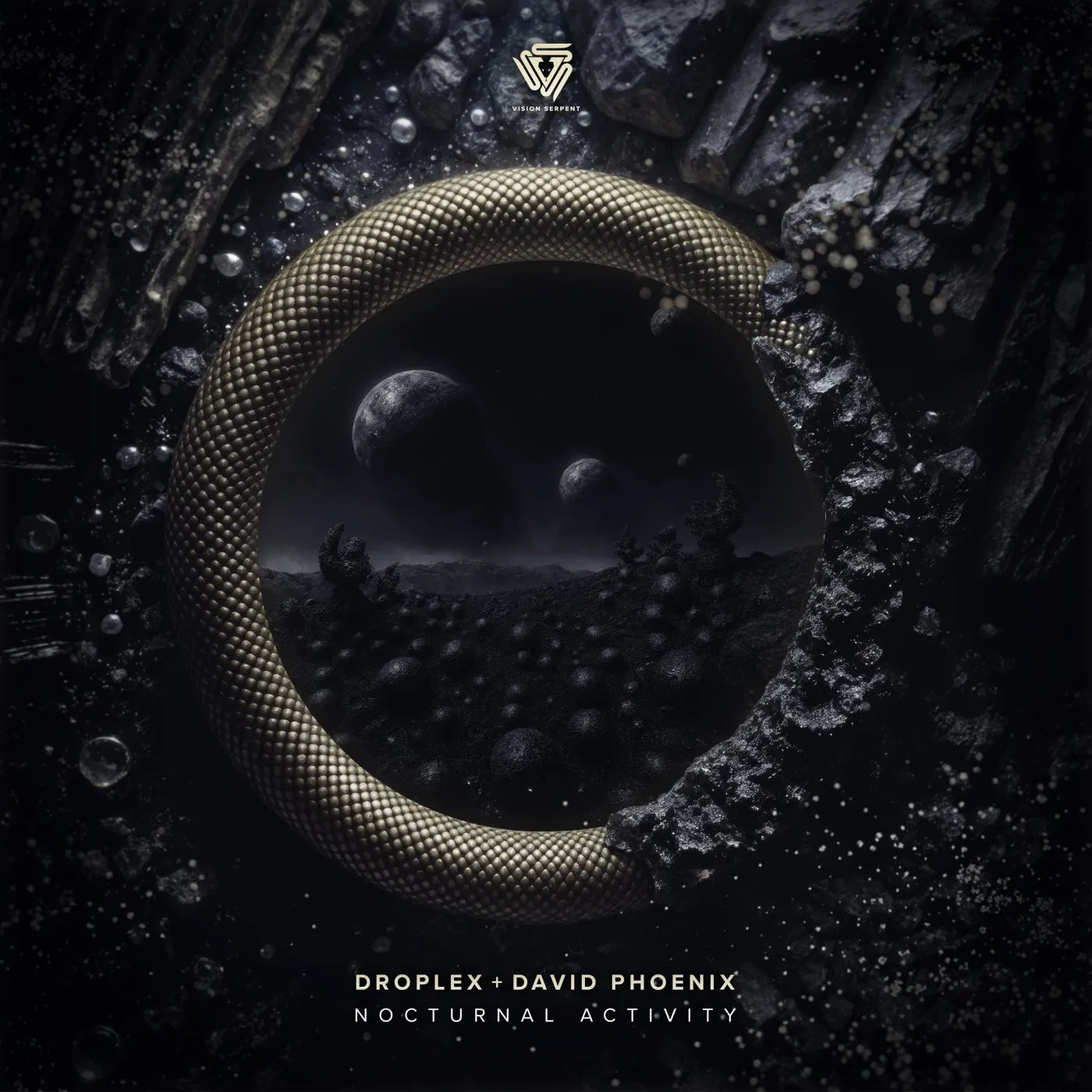 Nocturnal Activity