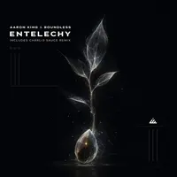 Entelechy