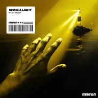 Shine A Light