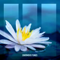 White Lotus