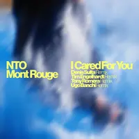 I Cared For You