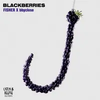 Blackberries