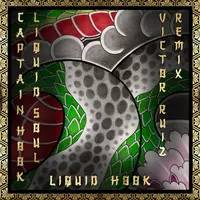 Liquid Hook