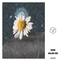 Hollow Sun 25