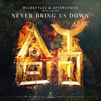 Never Bring Us Down