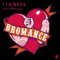 Seek Bromance (Remix)