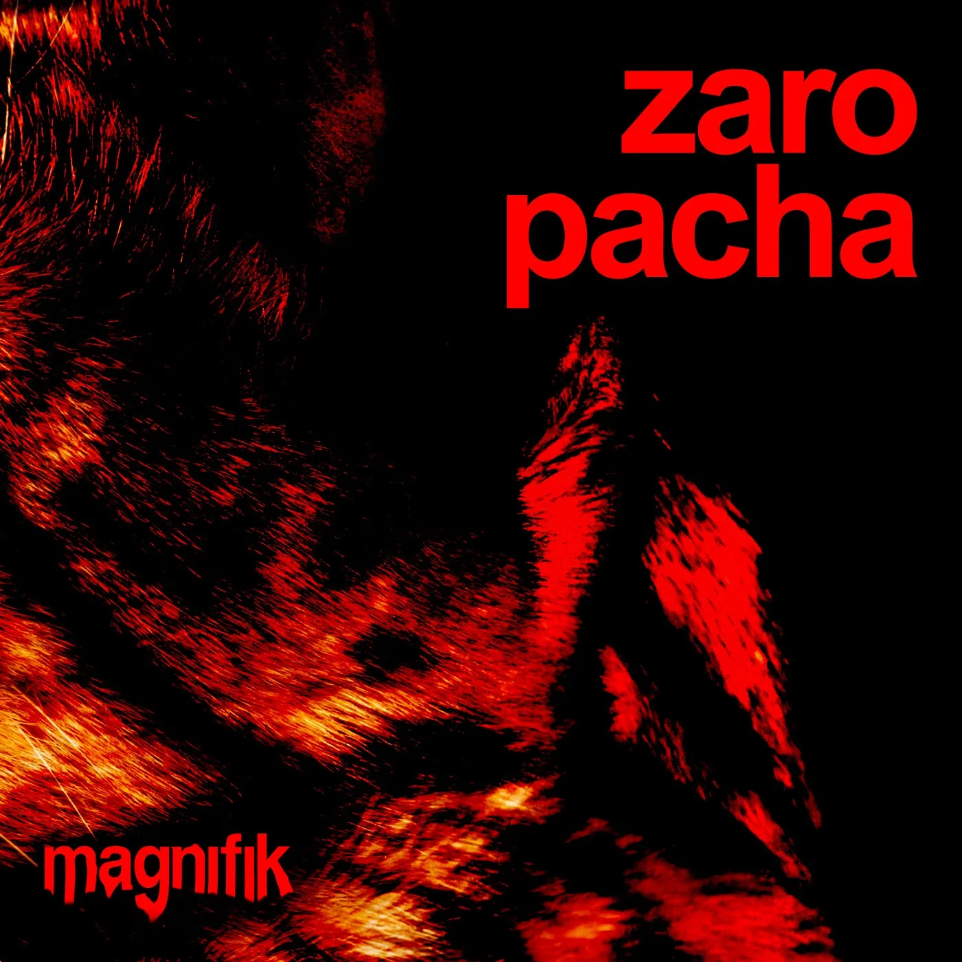 Pacha