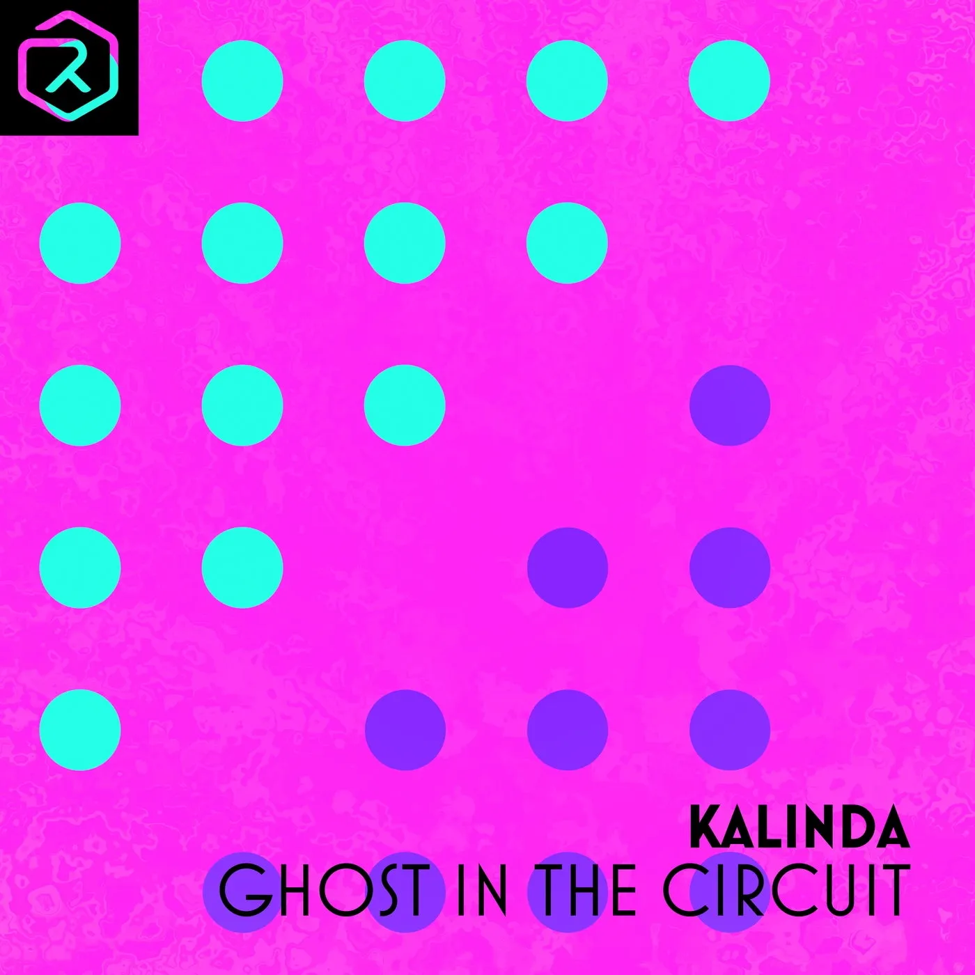 Ghost In The Circuit