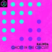 Ghost In The Circuit